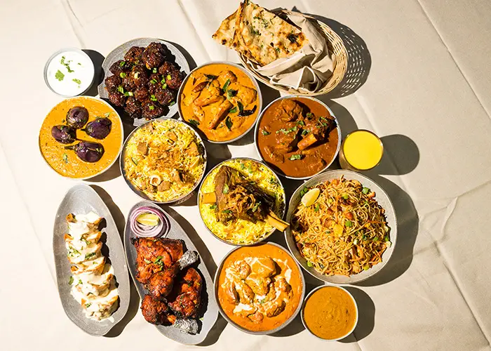 Overhead spread of a dozen dishes in sunlight — biryanis, butter chicken, tandoori chicken, malai kebab, noodles and naan